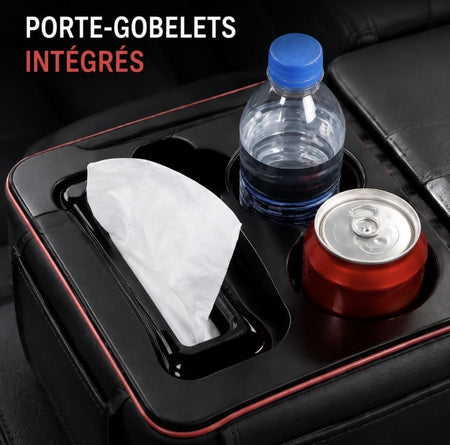 ACCOUDOIR DE VOITURE